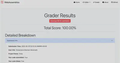 Figure 1: Grader results example.